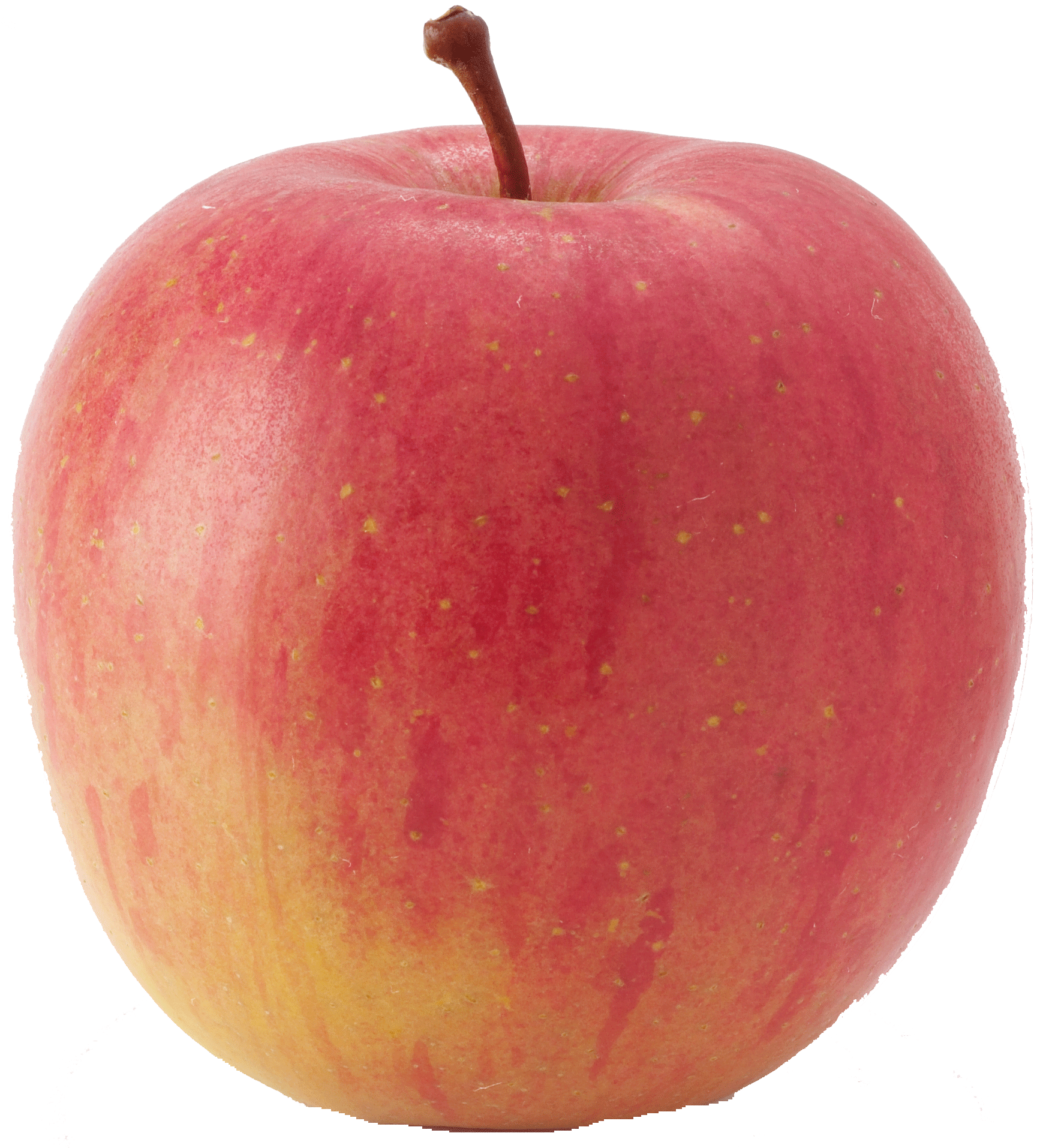 Rainier  fuji apples, price per pound Full-Size Picture